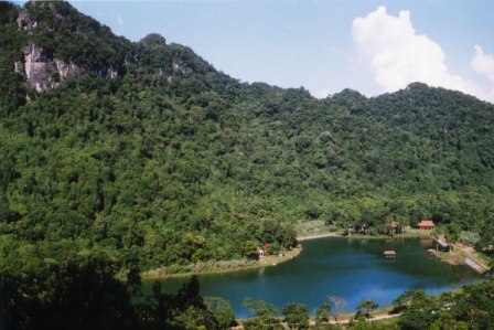 Hebergement au parc national Cuc Phuong