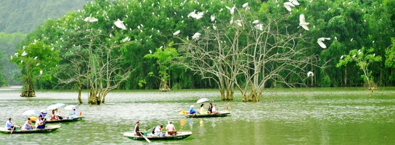 Jardin aux oiseaux de Thung Nham Ninh Binh2