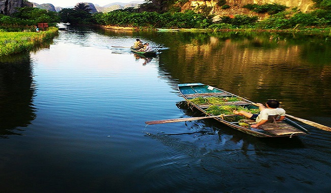 Barque à rames sur la rivière Ngo Dong à Tam Coc