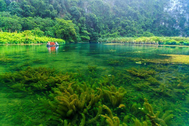 La réserve naturelle de Van Long est un des meilleurs sites de l'excursion Ninh Binh