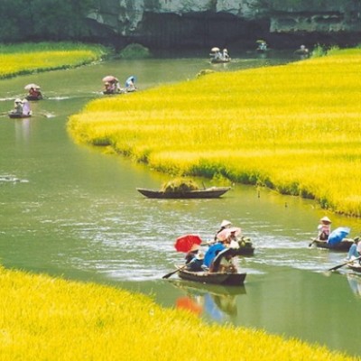 Promenade en barque à rames à Tam Coc Vietnam